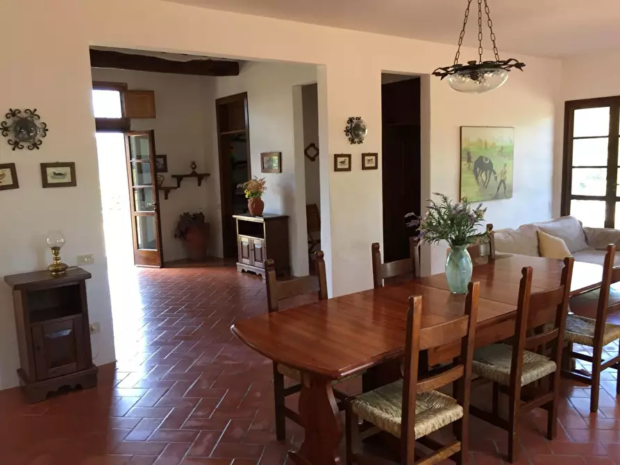 Immagine 15 di Casa colonica in vendita  a Peccioli