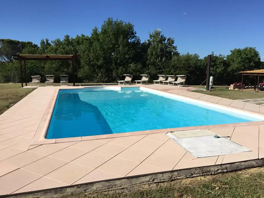 Immagine 3 di Casa colonica in vendita  a Peccioli