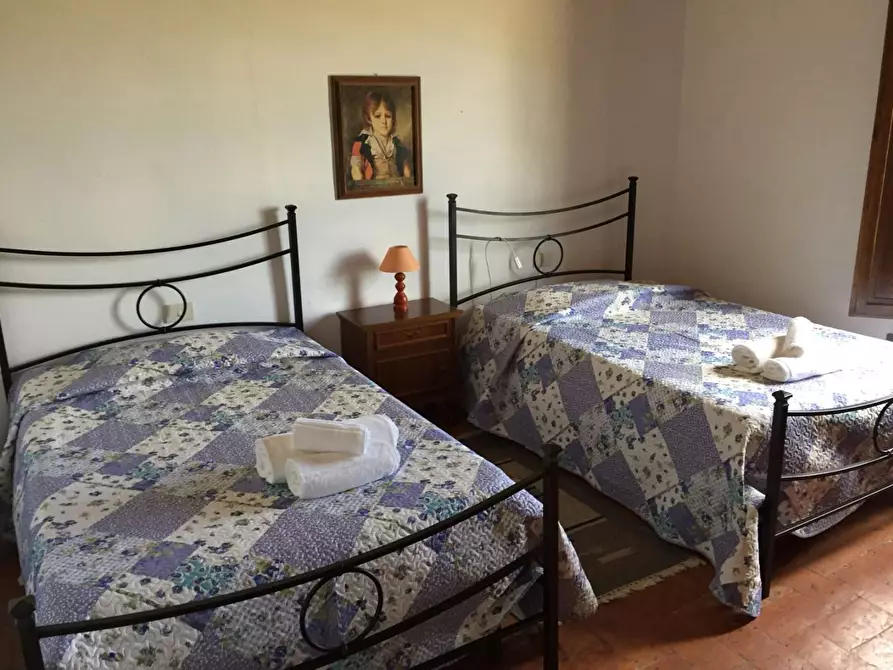 Immagine 28 di Casa colonica in vendita  a Peccioli