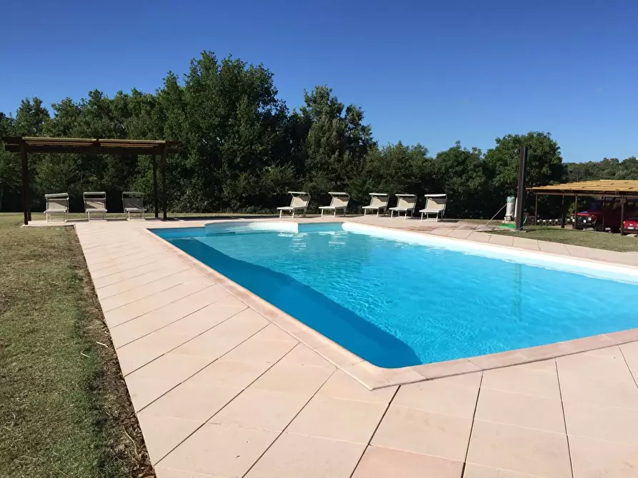 Immagine 2 di Casa colonica in vendita  a Peccioli