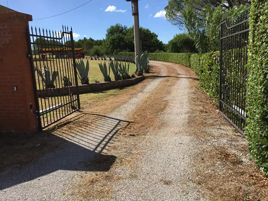 Immagine 33 di Casa colonica in vendita  a Peccioli