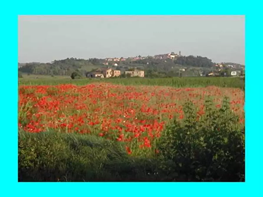 Immagine 5 di Laboratorio in vendita  a Peccioli