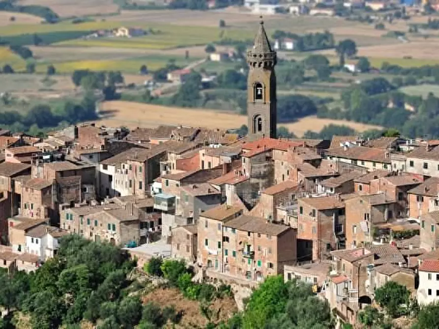 Immagine 4 di Laboratorio in vendita  a Peccioli
