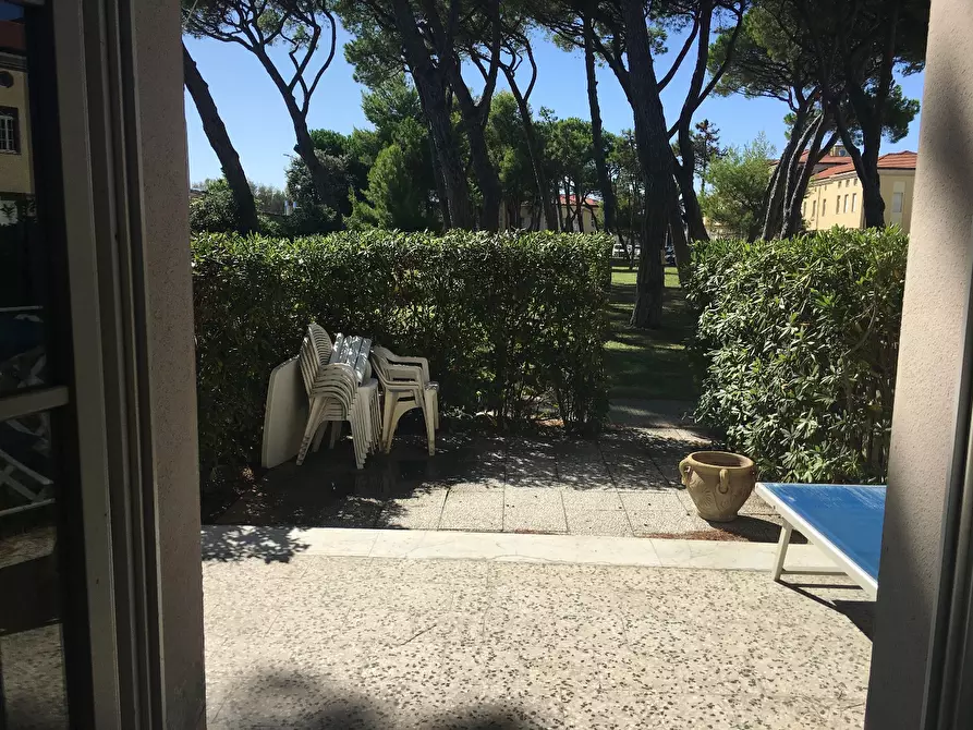 Immagine 11 di Appartamento in affitto  a Pisa