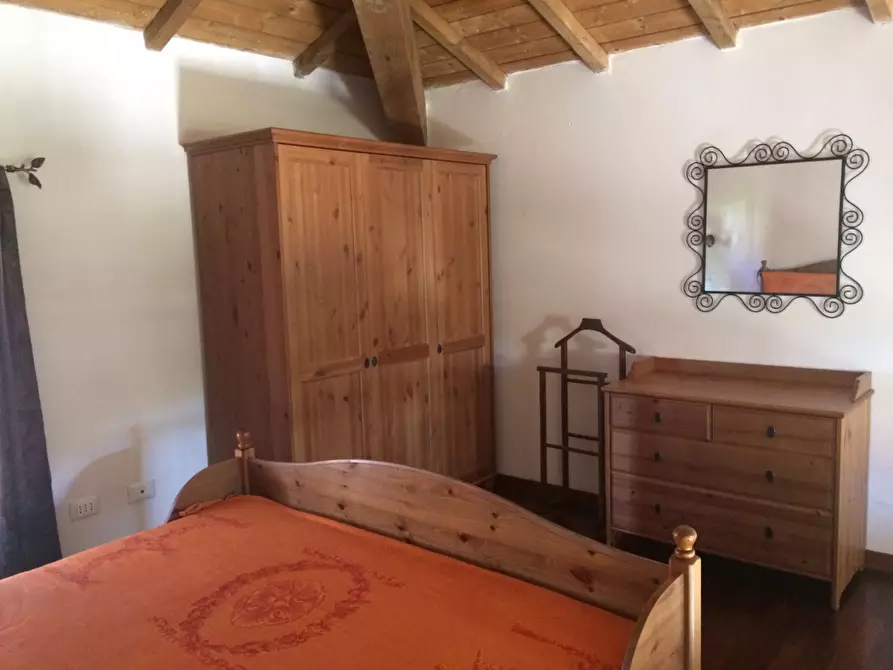 Immagine 14 di Appartamento in affitto  a Pisa