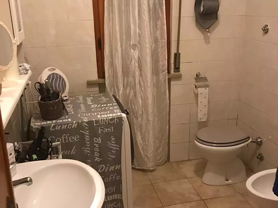 Immagine 14 di Appartamento in affitto  a Pontedera