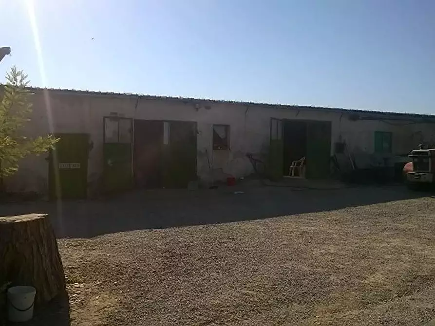 Immagine 9 di Azienda agricola in vendita  a Cerreto Guidi