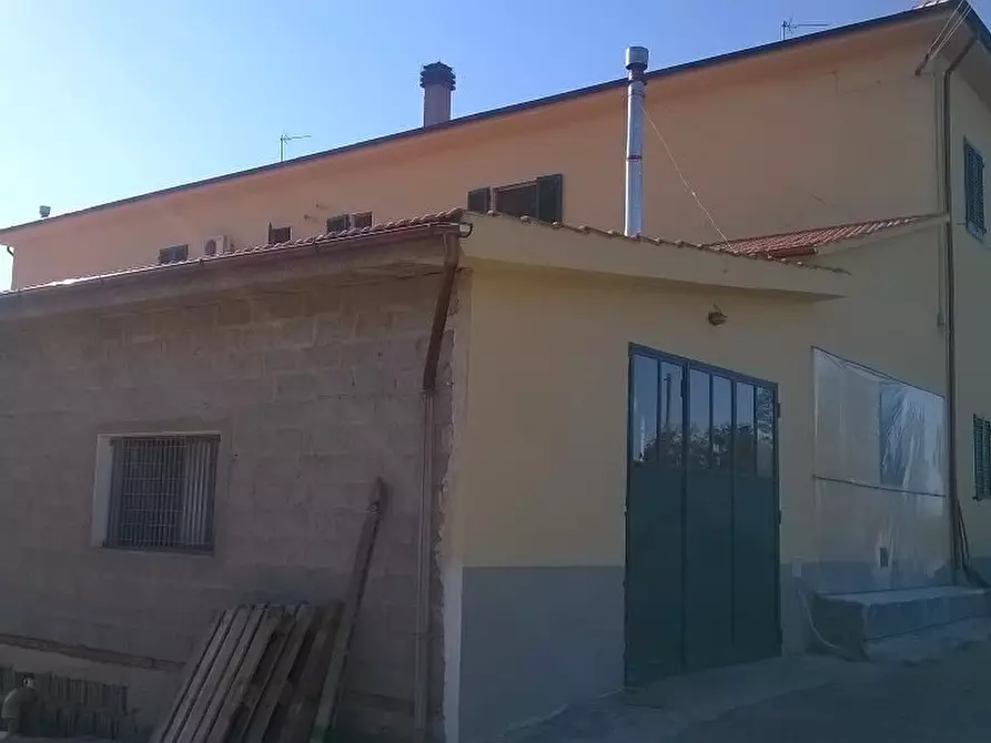 Immagine 7 di Azienda agricola in vendita  a Cerreto Guidi