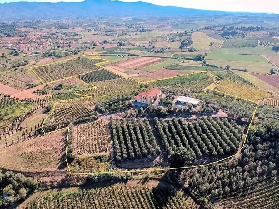 Immagine 2 di Azienda agricola in vendita  a Cerreto Guidi