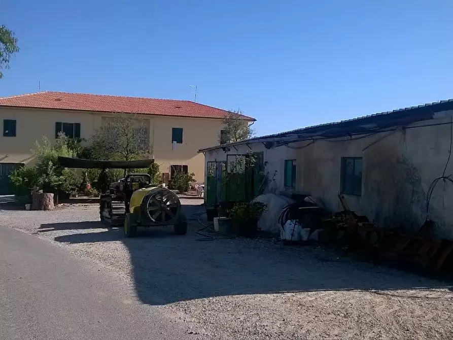 Immagine 1 di Azienda agricola in vendita  a Cerreto Guidi