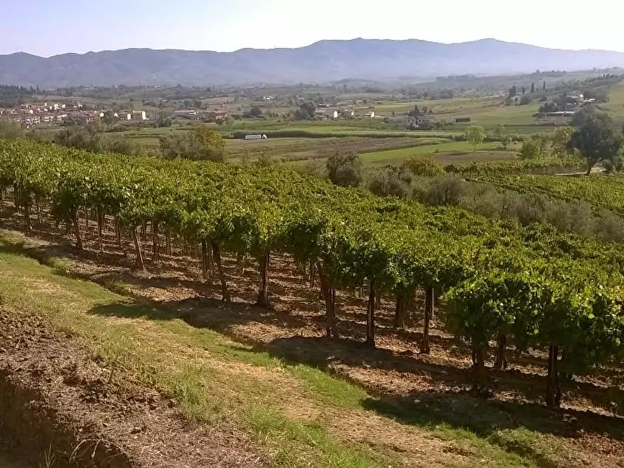 Immagine 12 di Azienda agricola in vendita  a Cerreto Guidi