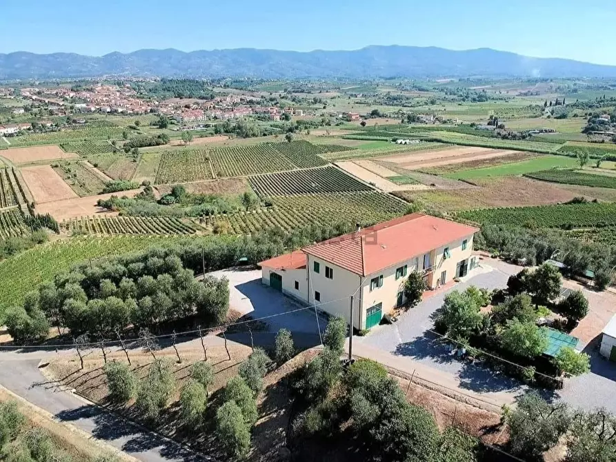 Immagine 1 di Azienda agricola in vendita  a Cerreto Guidi
