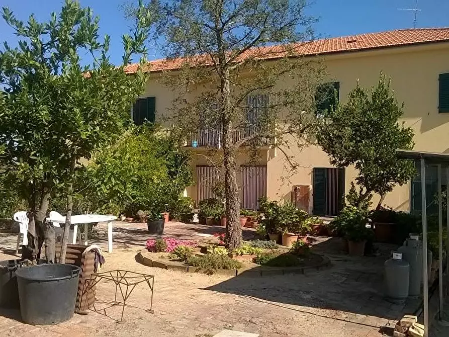 Immagine 5 di Azienda agricola in vendita  a Cerreto Guidi