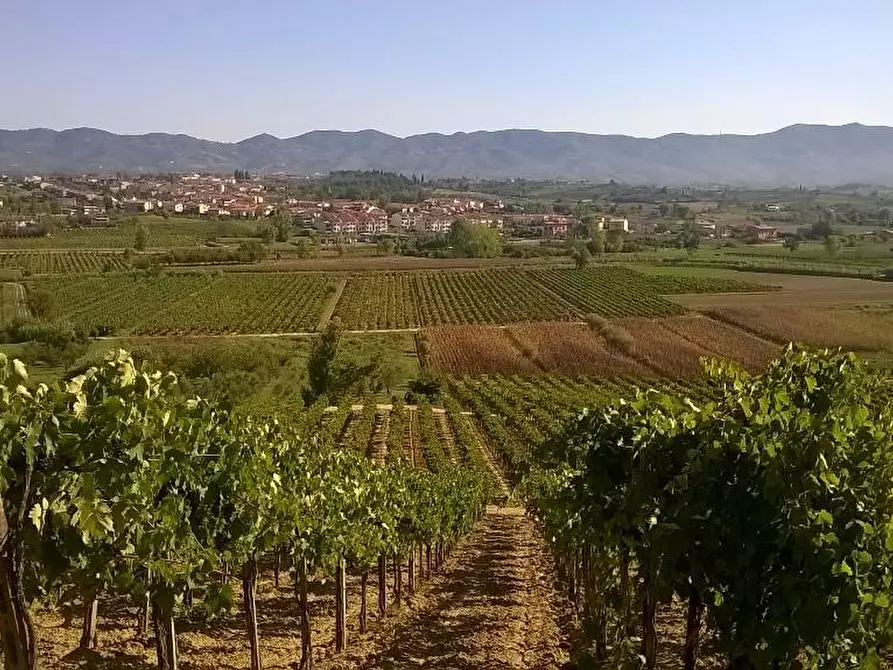 Immagine 14 di Azienda agricola in vendita  a Cerreto Guidi