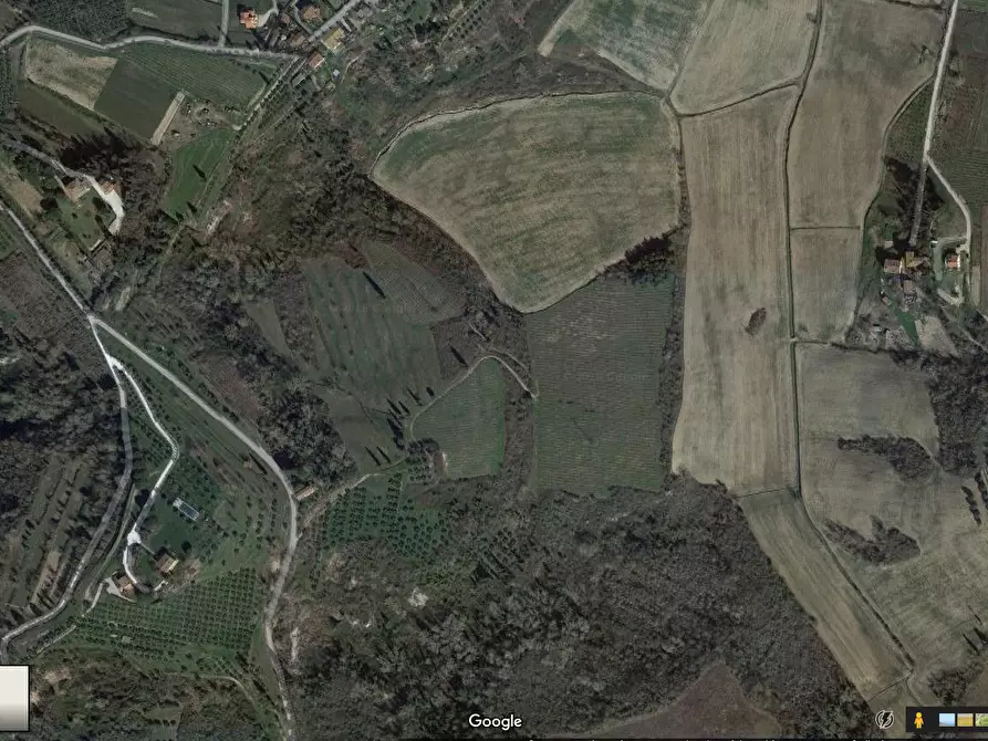 Immagine 1 di Terreno agricolo in vendita  a San Miniato