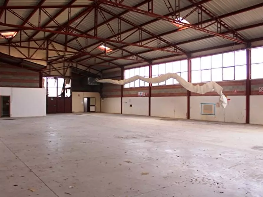 Immagine 1 di Capannone industriale in vendita  a Castelfiorentino