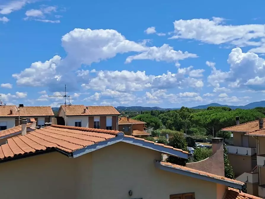 Immagine 17 di Appartamento in vendita  a Cecina