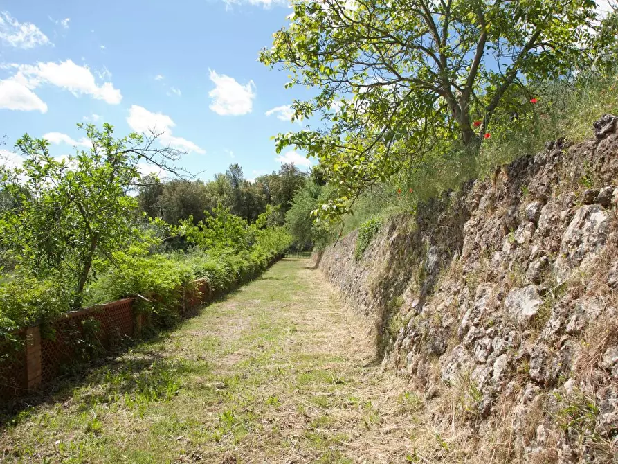 Immagine 33 di Casa colonica in vendita  a Sovicille