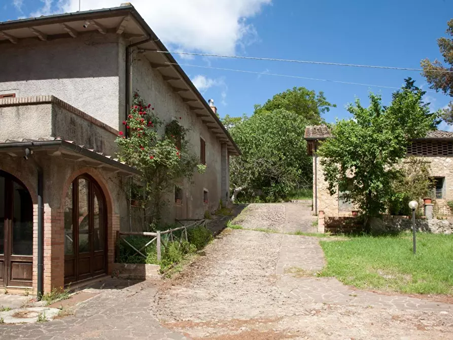 Immagine 3 di Casa colonica in vendita  a Sovicille