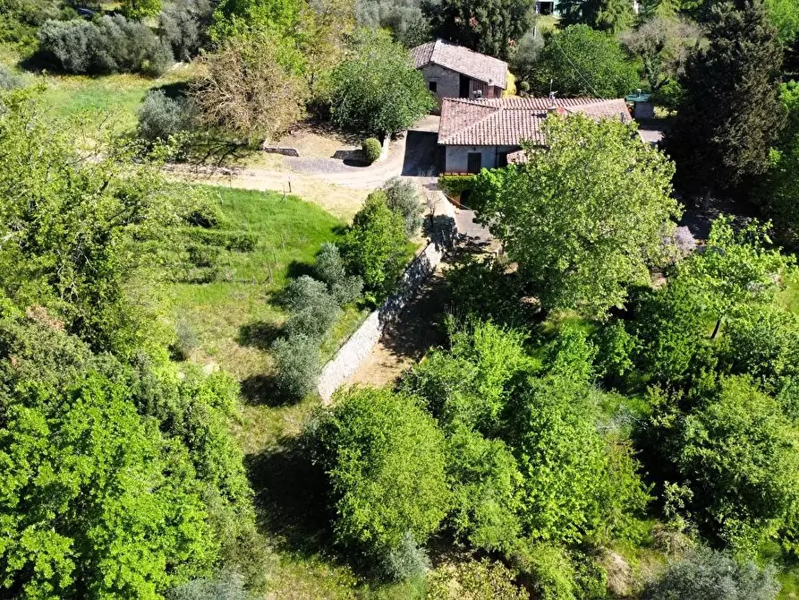 Immagine 4 di Casa colonica in vendita  a Sovicille