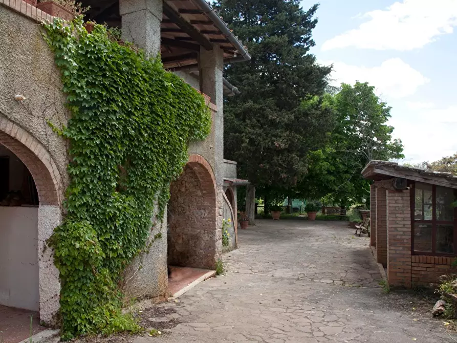 Immagine 6 di Casa colonica in vendita  a Sovicille