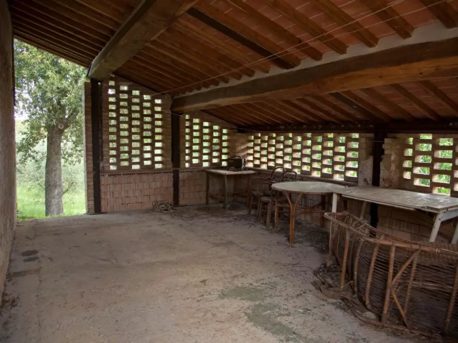 Immagine 26 di Casa colonica in vendita  a Sovicille