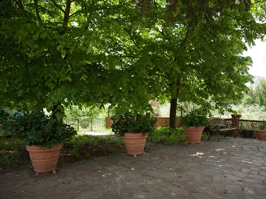 Immagine 27 di Casa colonica in vendita  a Sovicille