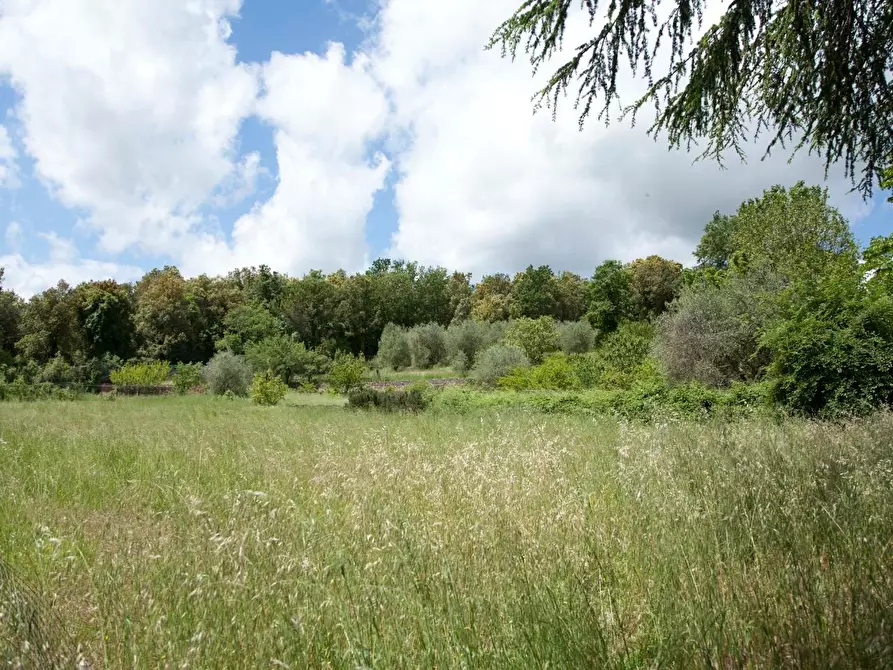 Immagine 32 di Casa colonica in vendita  a Sovicille