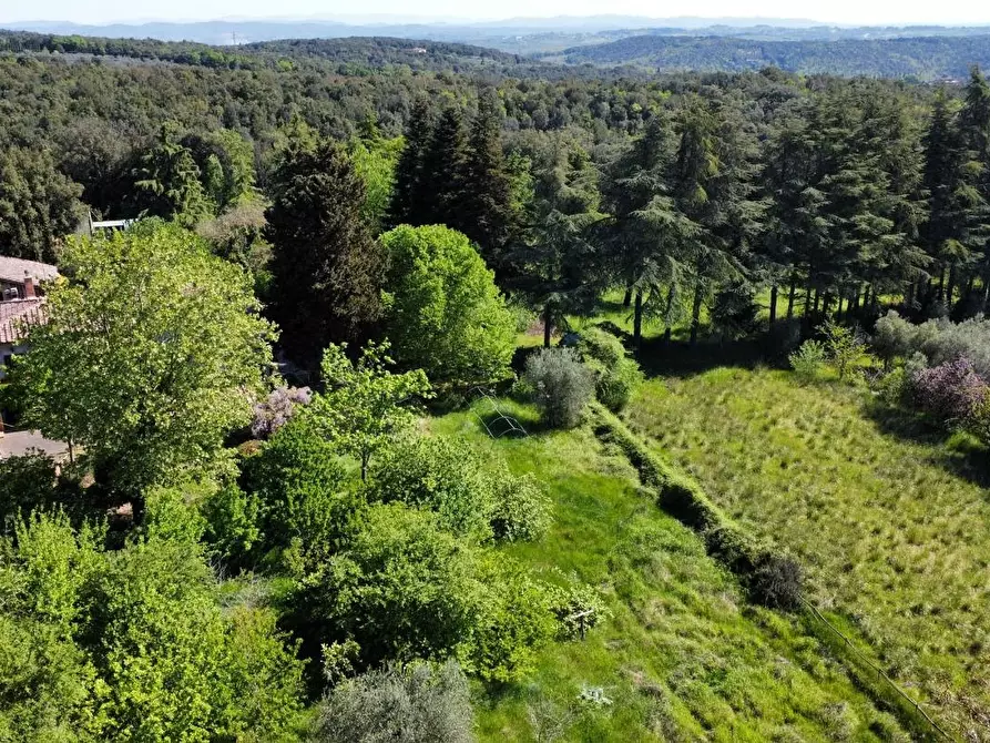 Immagine 39 di Casa colonica in vendita  a Sovicille