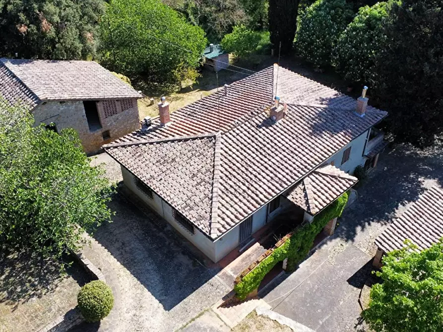 Immagine 3 di Casa colonica in vendita  a Sovicille