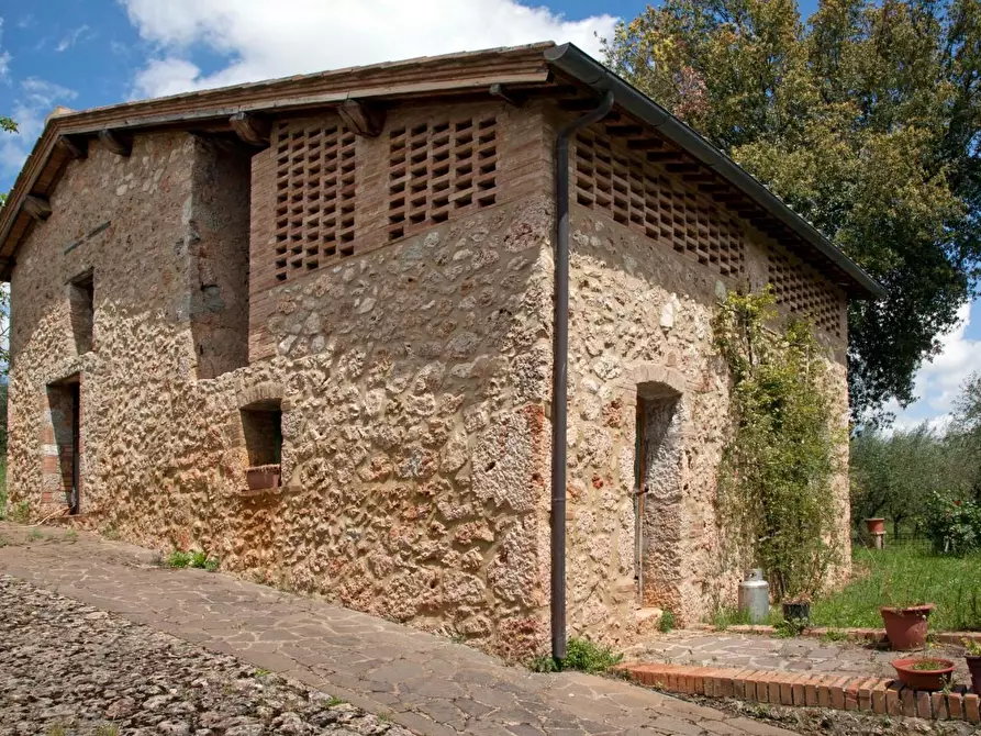 Immagine 25 di Casa colonica in vendita  a Sovicille