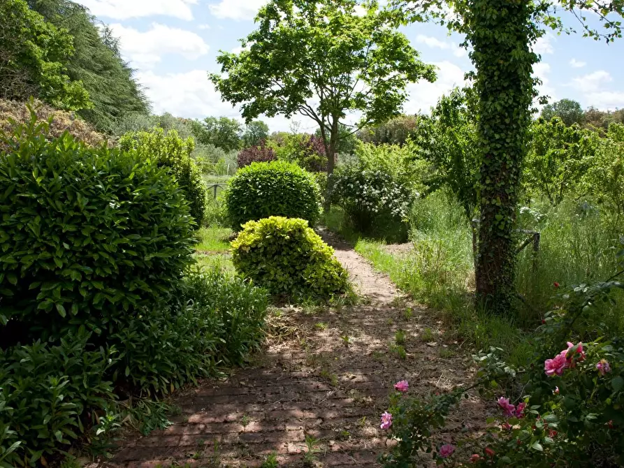 Immagine 29 di Casa colonica in vendita  a Sovicille