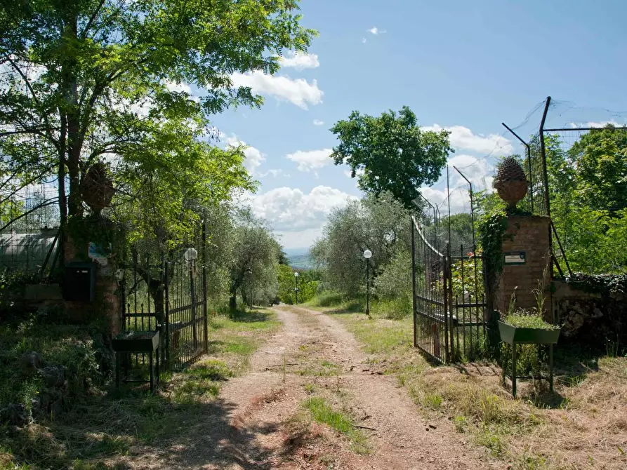 Immagine 34 di Casa colonica in vendita  a Sovicille
