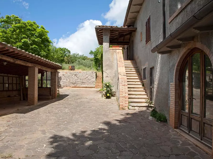 Immagine 9 di Casa colonica in vendita  a Sovicille