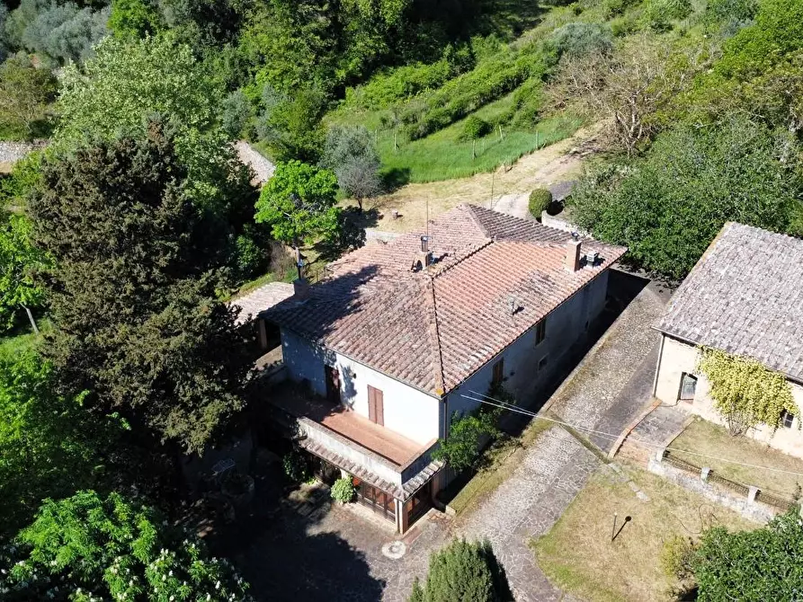 Immagine 1 di Casa colonica in vendita  a Sovicille