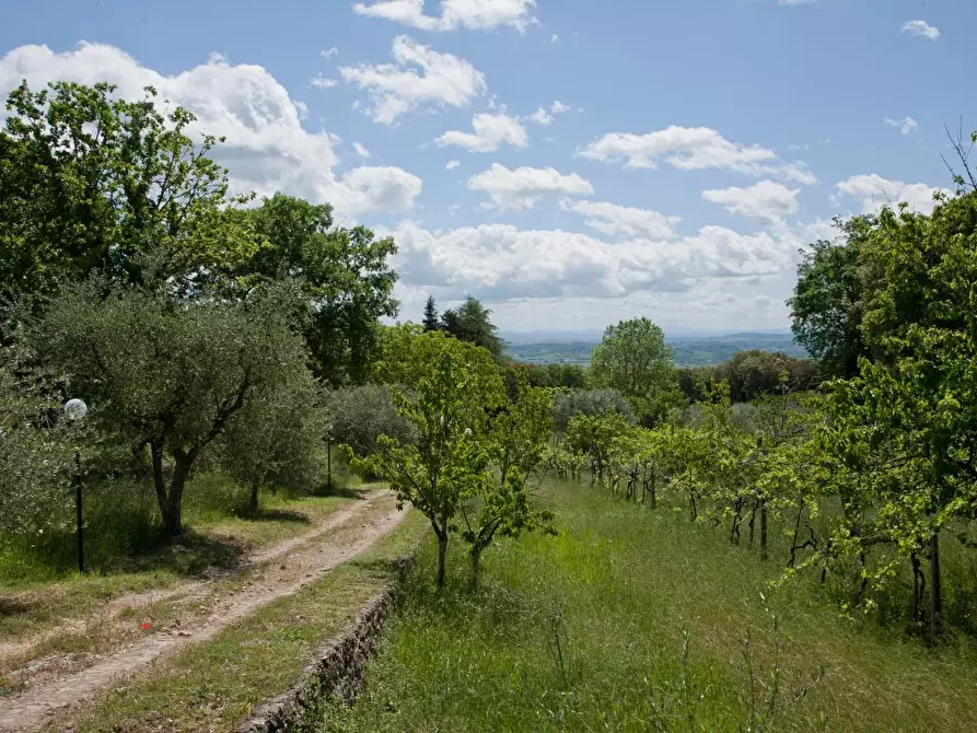 Immagine 31 di Casa colonica in vendita  a Sovicille