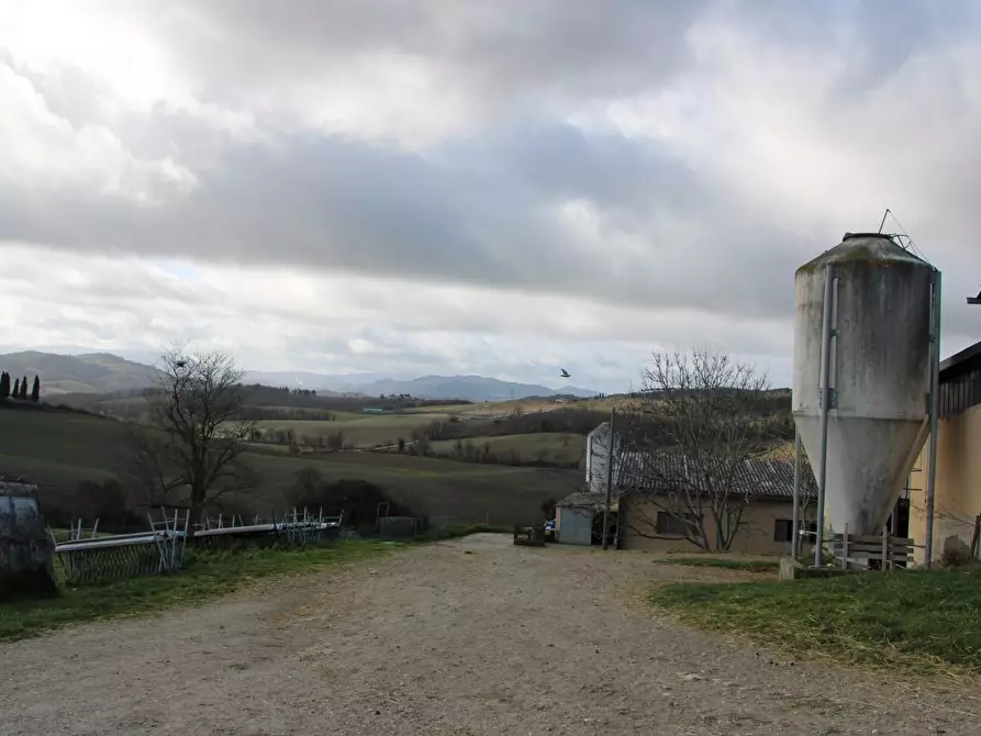 Immagine 10 di Azienda agricola in vendita  a Casole D'elsa