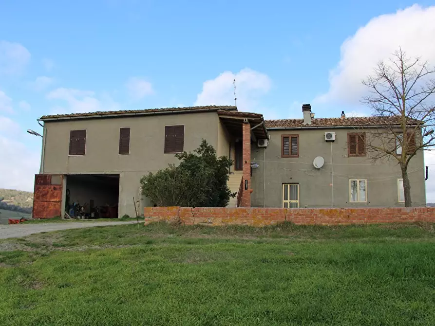 Immagine 3 di Azienda agricola in vendita  a Casole D'elsa