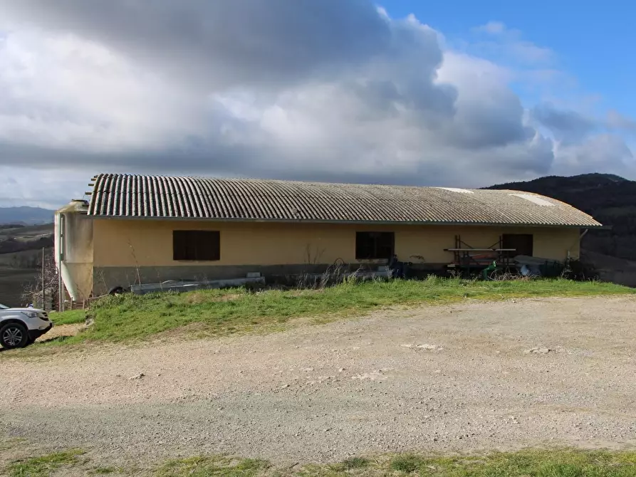 Immagine 7 di Azienda agricola in vendita  a Casole D'elsa