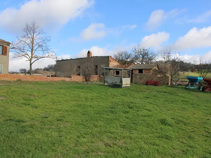 Immagine 5 di Azienda agricola in vendita  a Casole D'elsa