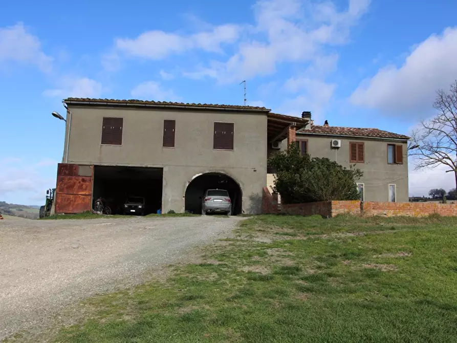 Immagine 2 di Azienda agricola in vendita  a Casole D'elsa