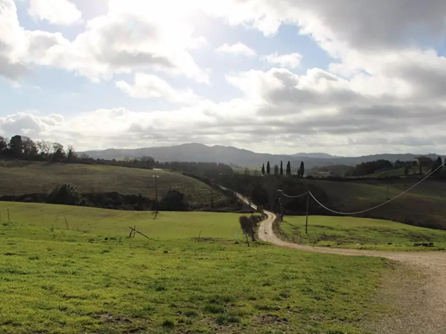 Immagine 11 di Azienda agricola in vendita  a Casole D'elsa