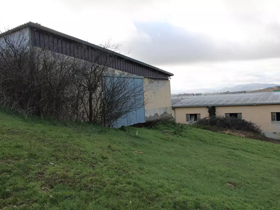 Immagine 9 di Azienda agricola in vendita  a Casole D'elsa