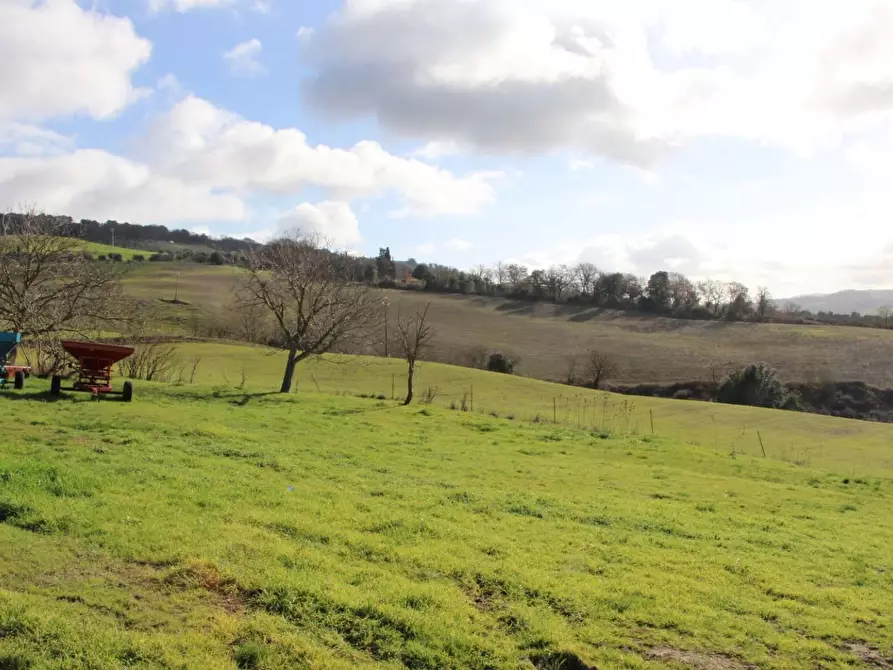 Immagine 12 di Azienda agricola in vendita  a Casole D'elsa