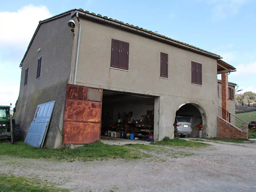Immagine 4 di Azienda agricola in vendita  a Casole D'elsa
