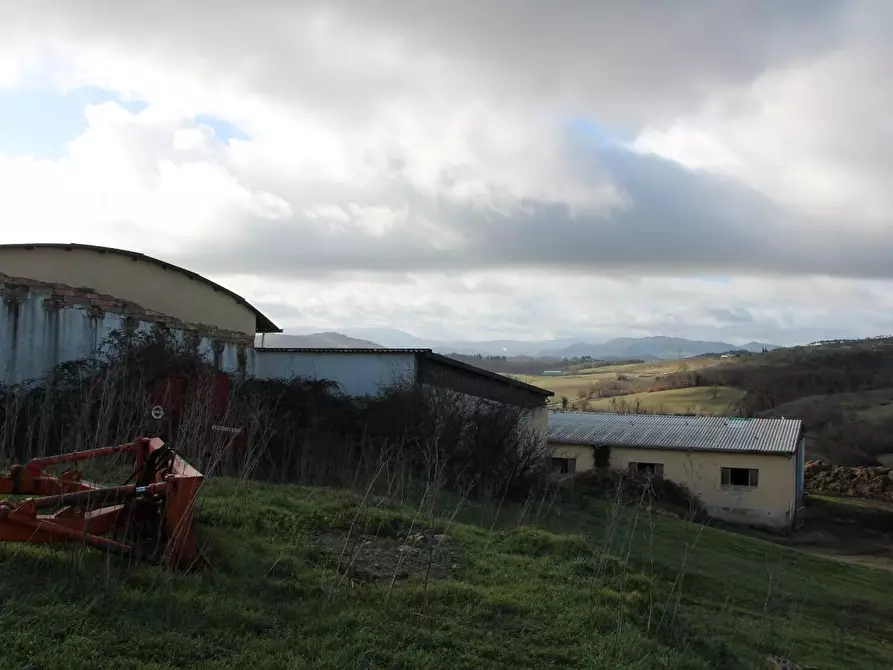 Immagine 8 di Azienda agricola in vendita  a Casole D'elsa