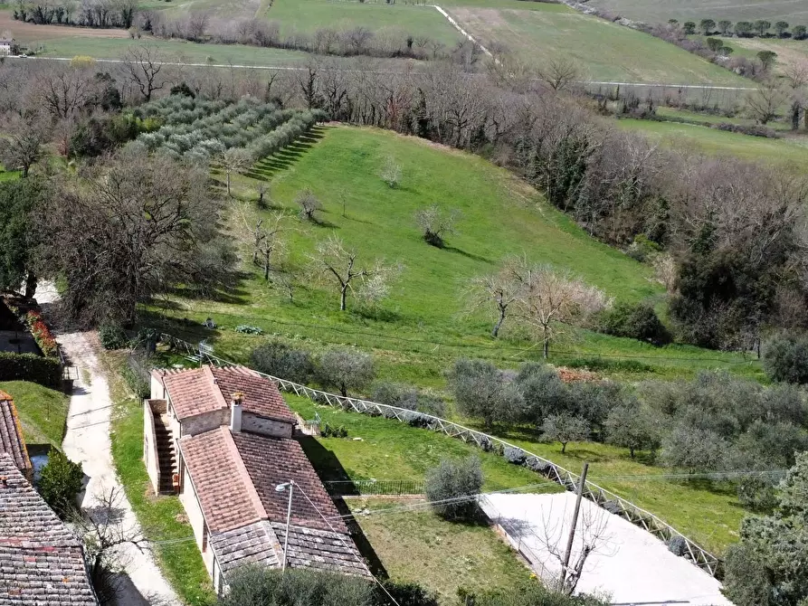Immagine 3 di Rustico / casale in vendita  a Colle Di Val D'elsa