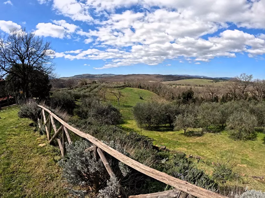 Immagine 12 di Rustico / casale in vendita  a Colle Di Val D'elsa