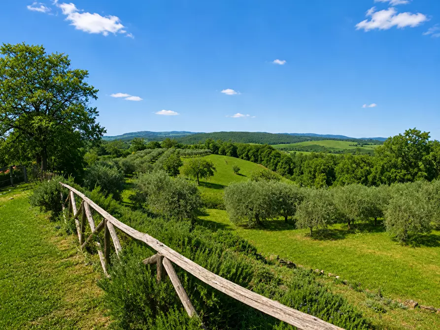 Immagine 8 di Rustico / casale in vendita  a Colle Di Val D'elsa