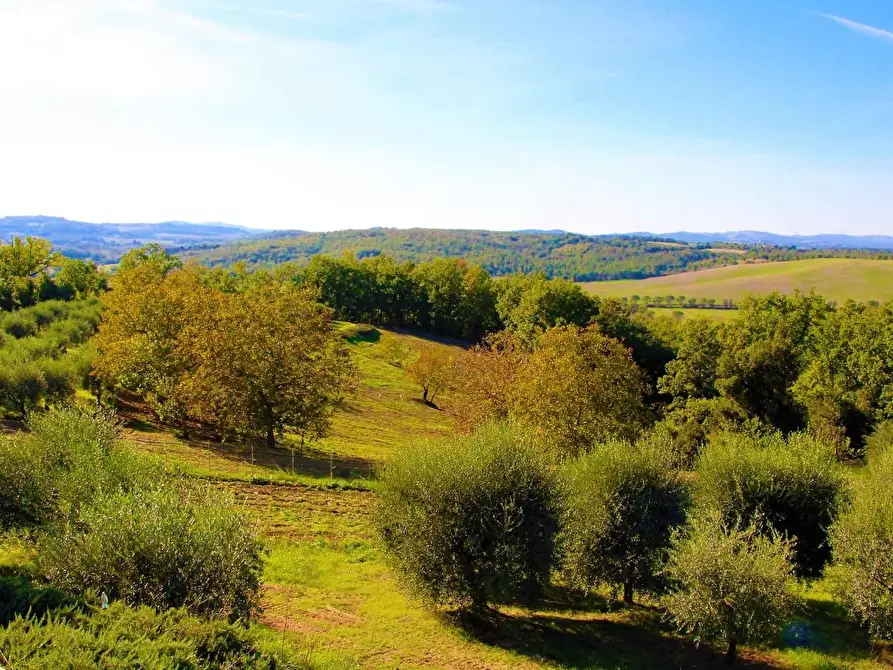Immagine 15 di Rustico / casale in vendita  a Colle Di Val D'elsa
